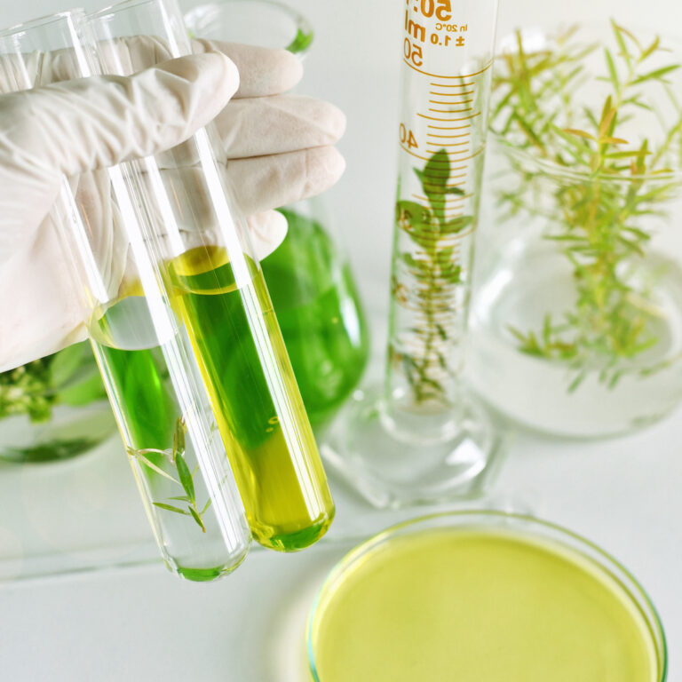 Natural medicine development in laboratory, Scientist researches